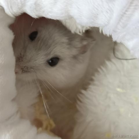 敲敲敲敲暴你脑袋于2023-10-24 12:33发布的图片