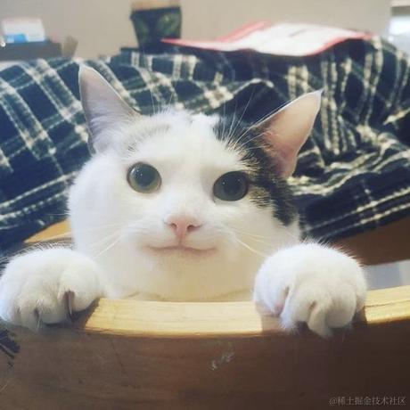 贝极星不是憨憨于2022-12-01 22:59发布的图片