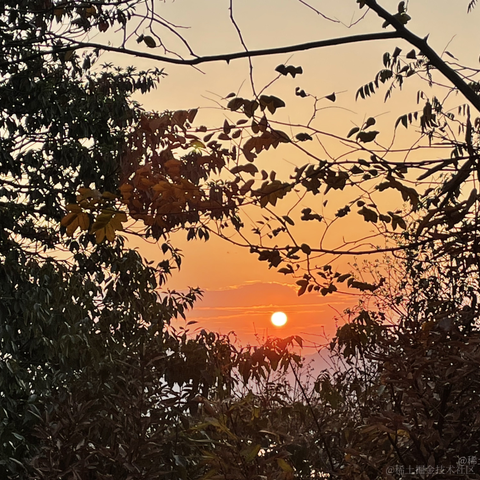 一个爱编程的男孩于2022-11-09 09:47发布的图片