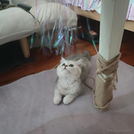 今日好运来于2022-11-11 23:12发布的图片