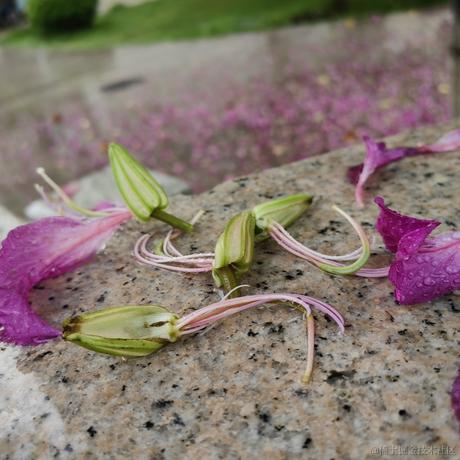 李小政935于2022-11-25 08:00发布的图片