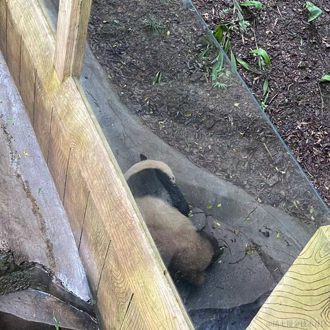 王贝拉唯一指定老婆于2023-06-19 11:32发布的图片