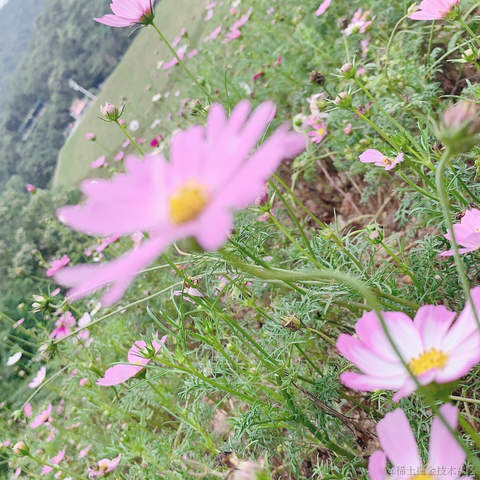 我是阿沐于2021-05-28 17:32发布的图片