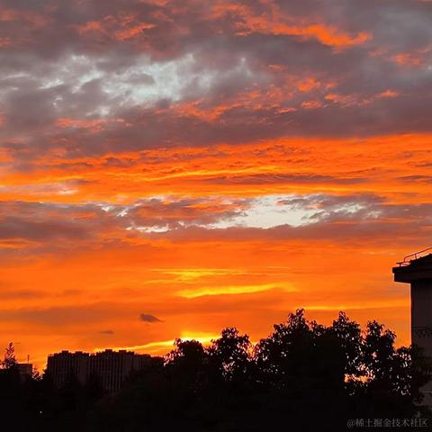 皮皮酱子于2023-09-01 11:11发布的图片