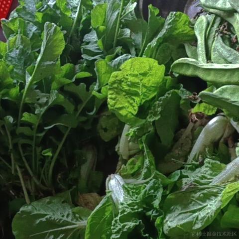 ying7于2022-10-02 09:25发布的图片