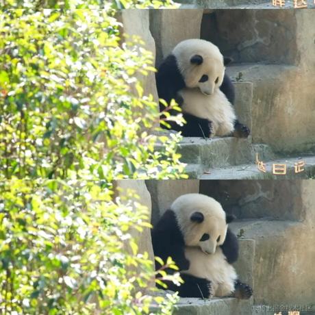 Ricardo_M_Eric于2023-05-04 21:33发布的图片