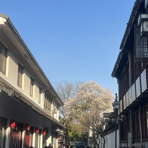 安酱于2023-04-25 18:33发布的图片
