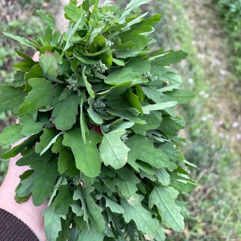 我想中奖于2023-01-25 12:01发布的图片