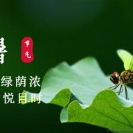 汪汪队长于2023-07-07 08:51发布的图片