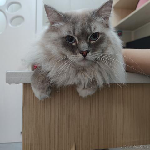 林雨一直走于2023-06-04 23:25发布的图片