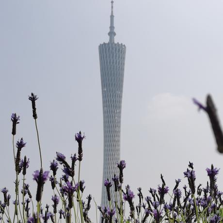 在逃的打工猫于2023-03-18 14:32发布的图片