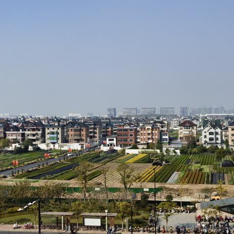 肥肥左卫门于2022-11-22 13:30发布的图片