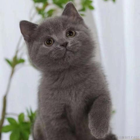 小旭小旭小而含蓄于2021-07-15 07:40发布的图片