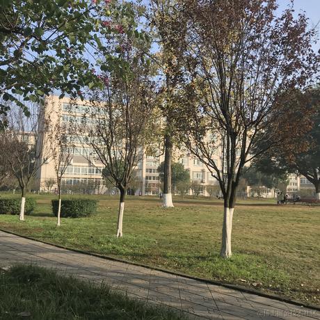 向晚的顶碗人于2022-11-19 14:00发布的图片