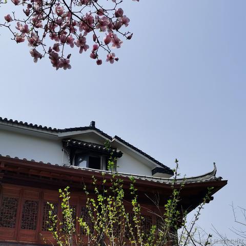 小白7码于2022-03-15 13:02发布的图片