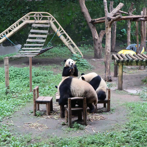 王贝拉唯一指定老婆于2023-06-19 11:32发布的图片