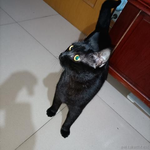 用户2469611626166于2022-11-22 23:02发布的图片