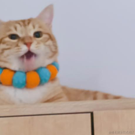 下凡冲浪辛苦了于2022-11-18 17:09发布的图片