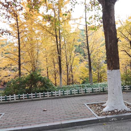 晚者无暇于2022-11-19 08:36发布的图片