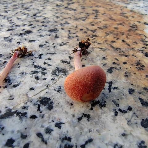 Uwiling于2022-11-28 19:58发布的图片