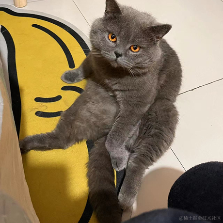 温水煮鸡蛋于2022-11-10 00:04发布的图片