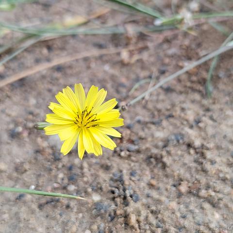 薄岁于2023-06-20 01:00发布的图片