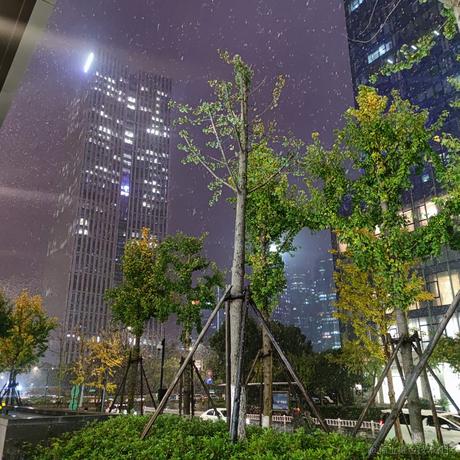 精神果子于2022-12-01 23:43发布的图片