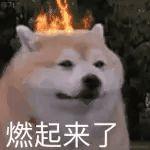技术书籍