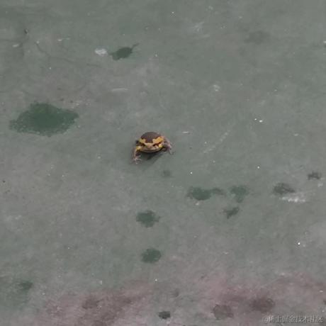 做人求其滴于2023-05-12 10:50发布的图片