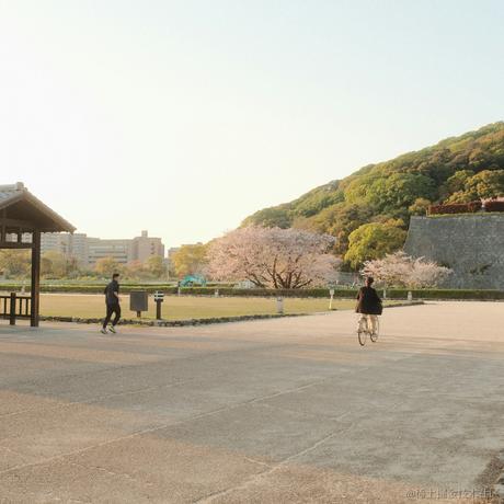 hufeicom于2024-05-06 09:55发布的图片