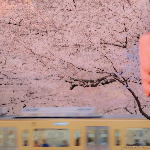 日常写bug工程师于2020-10-26 17:30发布的图片