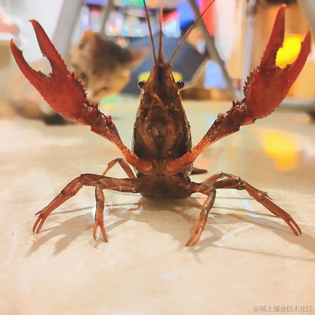 苏菲于2022-04-24 21:02发布的图片