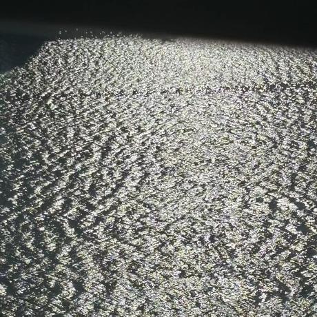 格斗家不爱在外太空沉思于2024-01-15 16:39发布的图片