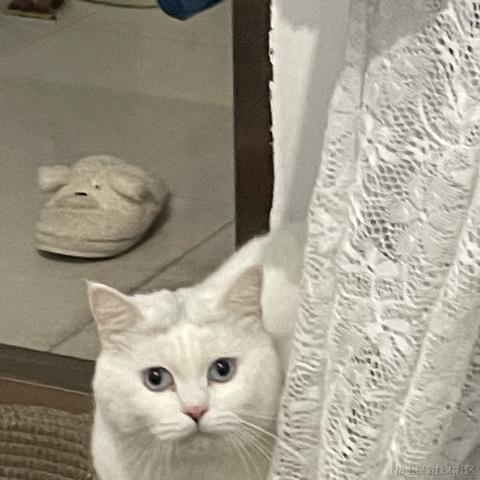 Sep_29于2021-11-24 15:34发布的图片