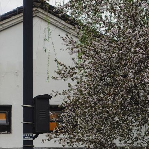 这波是肉蛋葱鸡于2023-03-13 17:42发布的图片