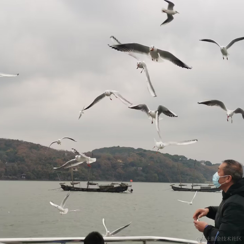 紫色的猪于2022-12-17 23:40发布的图片