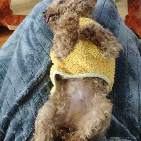 海绵bb于2022-12-30 13:50发布的图片