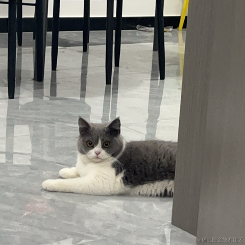 单纯_稀饭于2024-05-28 23:35发布的图片