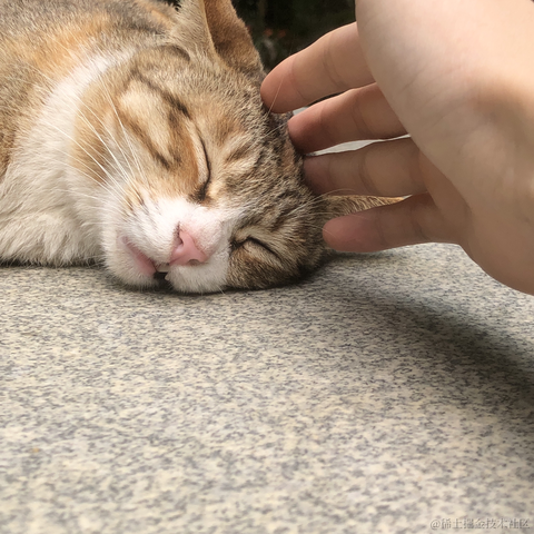 餘yuqn于2024-04-02 00:55发布的图片