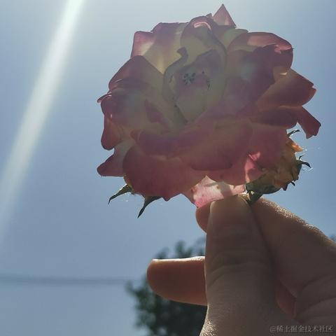 旺旺99于2023-05-25 23:02发布的图片