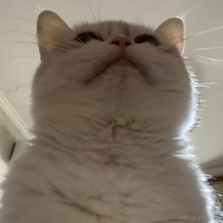 打瞌睡的专家于2022-06-21 14:32发布的图片