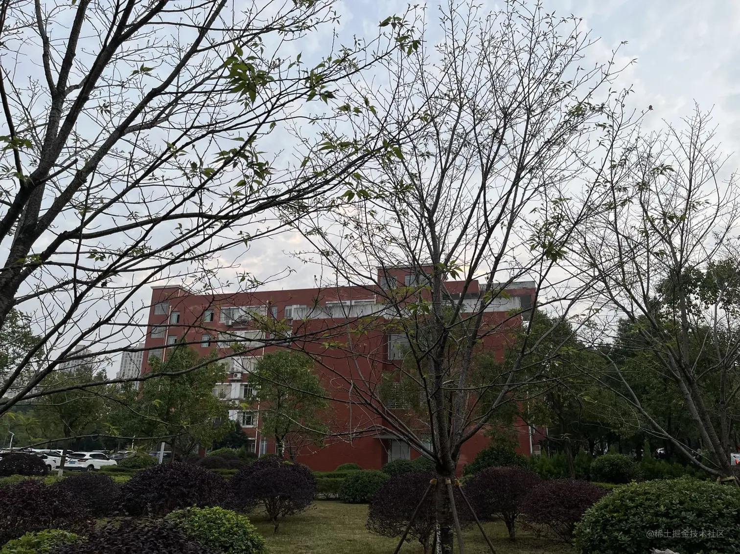 微信图片_20211119210945.jpg