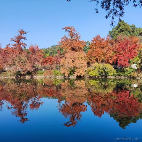 优秀稳妥的金枪小魔王于2023-11-22 11:24发布的图片