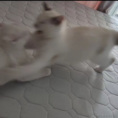 旺仔米苏于2023-06-13 15:11发布的图片