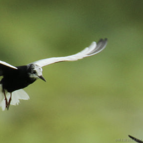 Nayuta于2021-07-06 22:35发布的图片