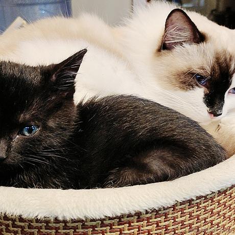 烟火撞星辰于2022-02-21 18:35发布的图片