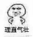 理直气壮.jpg