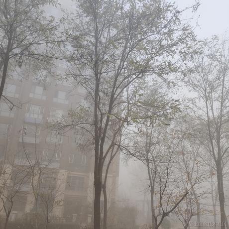 天天爱消除于2022-11-25 10:02发布的图片