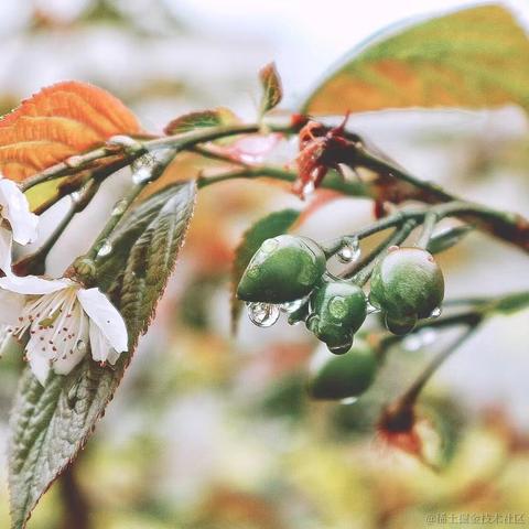 红毛丹于2022-03-07 10:18发布的图片