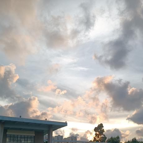 然然今天吃雪莲于2023-06-21 19:15发布的图片